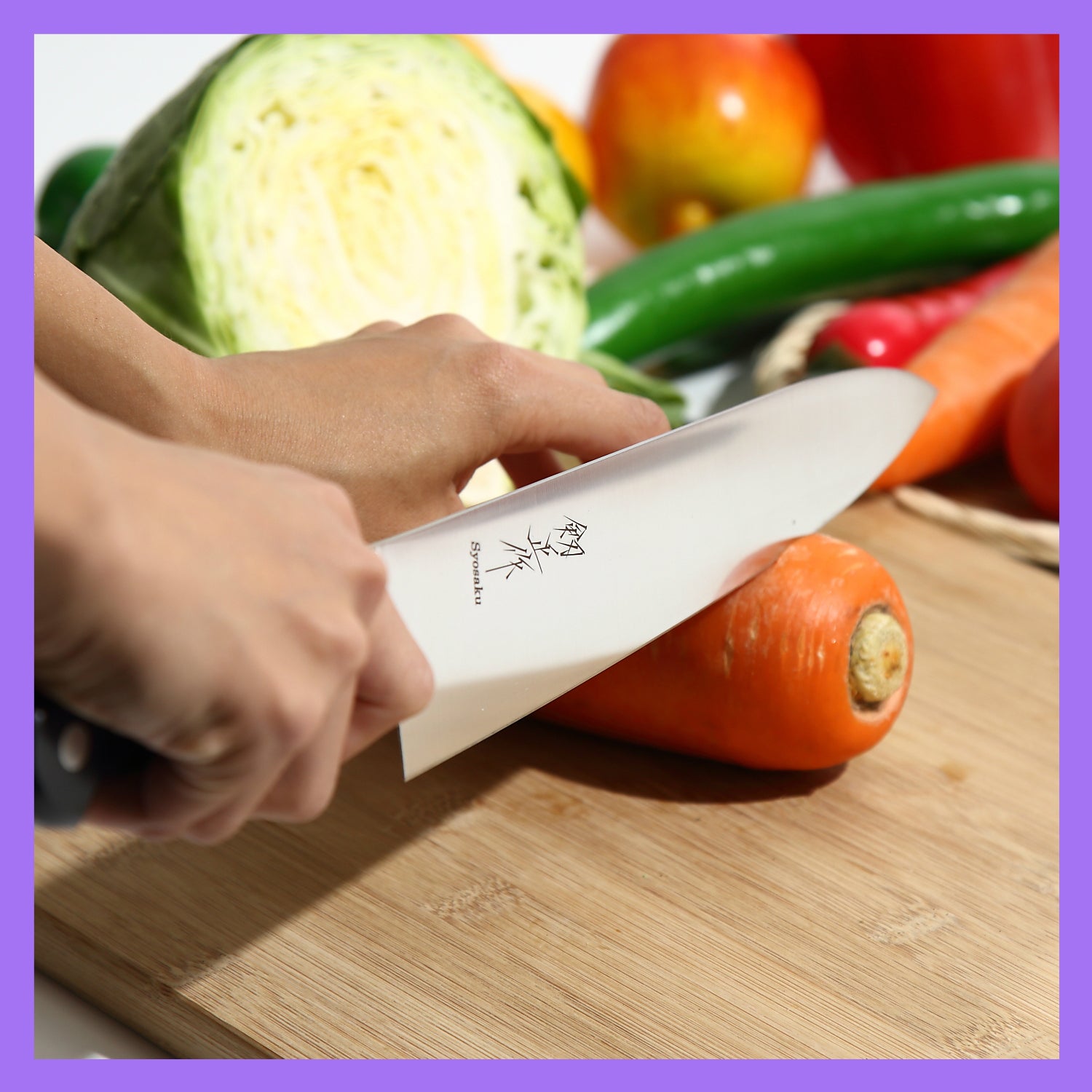 Syosaku Japanese Chef Knife INOX AUS-8A Stainless Steel Black Pakkawood Handle, Gyuto 8.3-inch (210mm)